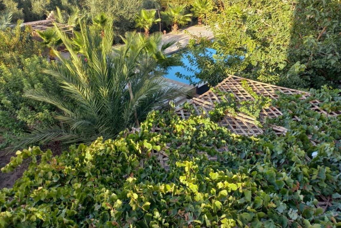 Riad Aman Skoura Exterior photo